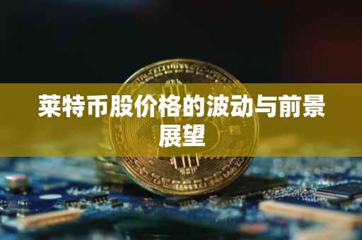 莱特币股价格的波动与前景展望