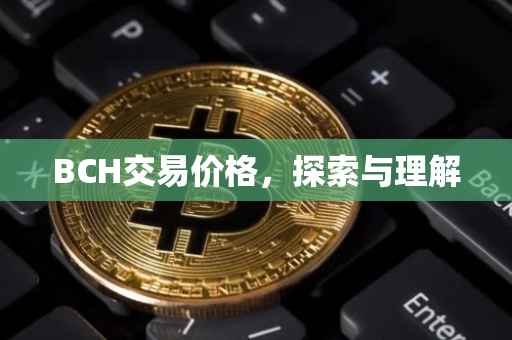 BCH交易价格，探索与理解