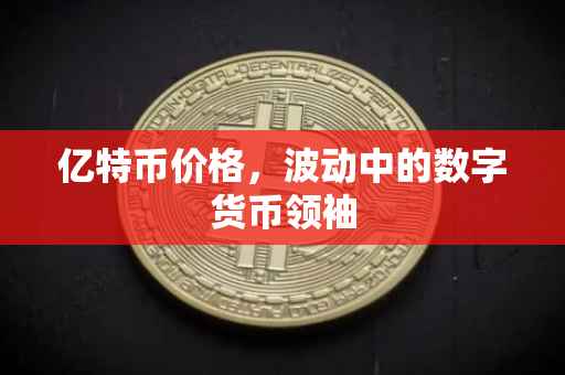 亿特币价格，波动中的数字货币领袖
