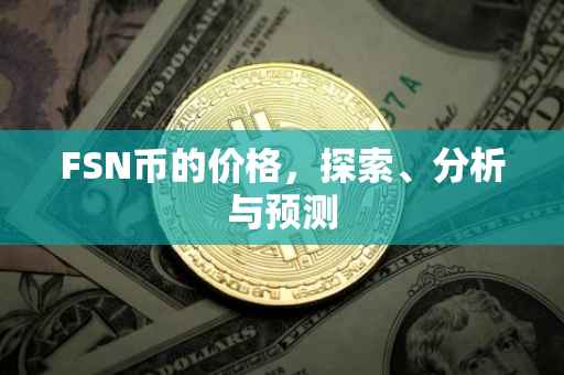 FSN币的价格，探索、分析与预测