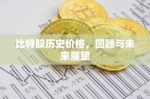 比特股历史价格，回顾与未来展望
