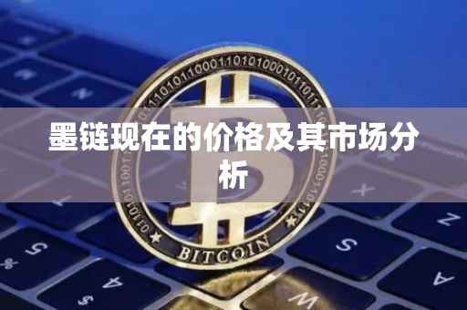 墨链现在的价格及其市场分析