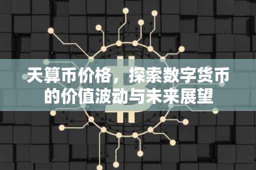 天算币价格，探索数字货币的价值波动与未来展望