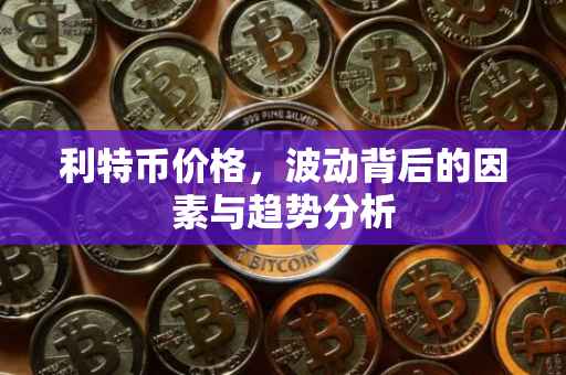 利特币价格，波动背后的因素与趋势分析