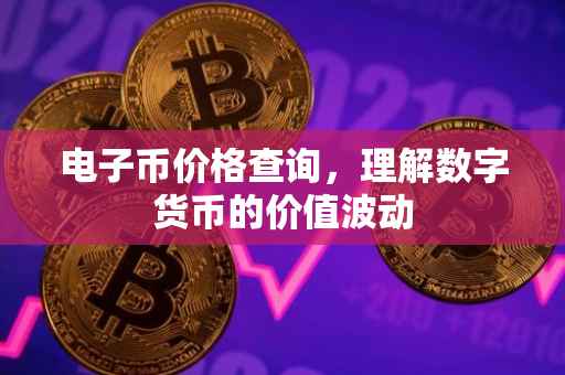 电子币价格查询，理解数字货币的价值波动