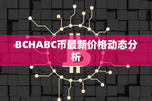 BCHABC币最新价格动态分析