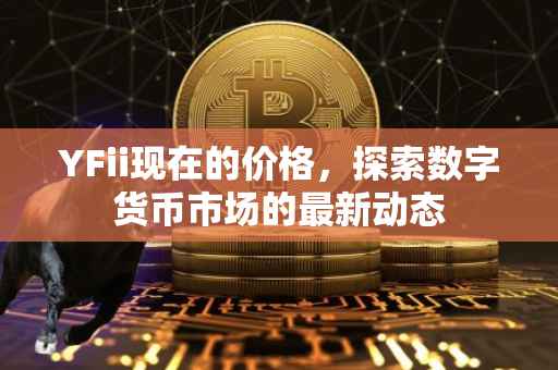 YFii现在的价格，探索数字货币市场的最新动态