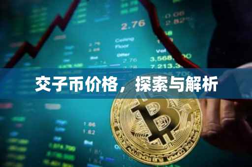 交子币价格，探索与解析