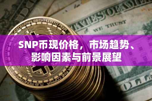 SNP币现价格，市场趋势、影响因素与前景展望