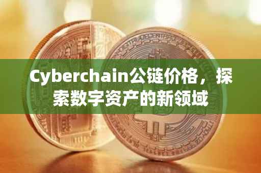 Cyberchain公链价格，探索数字资产的新领域