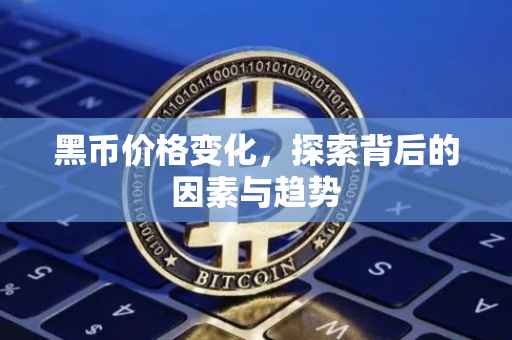 黑币价格变化，探索背后的因素与趋势