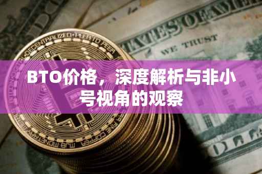 BTO价格，深度解析与非小号视角的观察