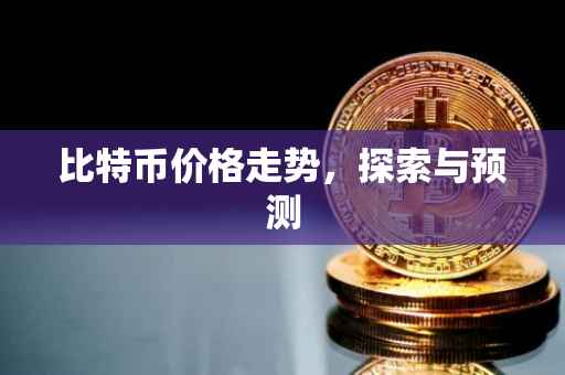 比特币价格走势，探索与预测