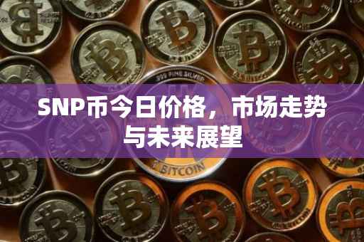 SNP币今日价格，市场走势与未来展望