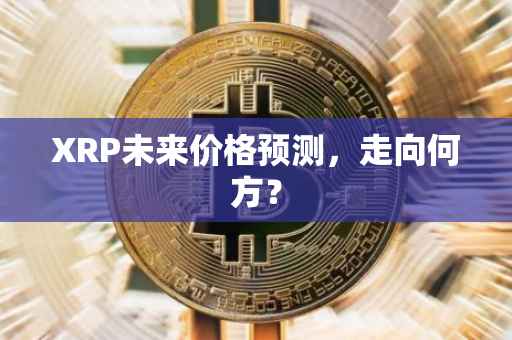 XRP未来价格预测，走向何方？