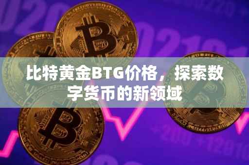 比特黄金BTG价格，探索数字货币的新领域