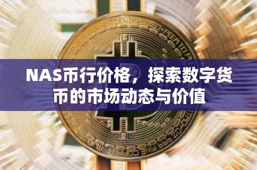 NAS币行价格，探索数字货币的市场动态与价值