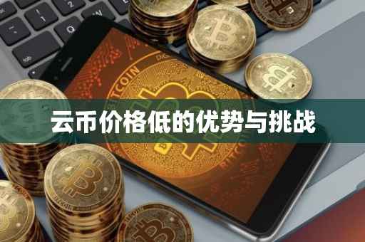云币价格低的优势与挑战