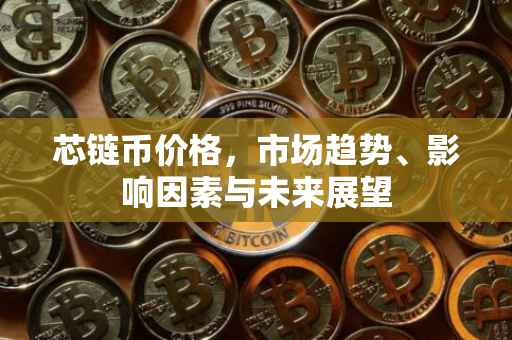 芯链币价格，市场趋势、影响因素与未来展望
