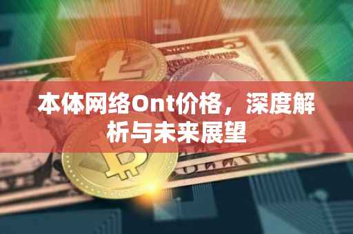 本体网络Ont价格，深度解析与未来展望