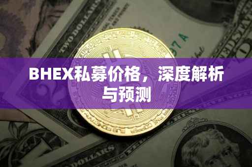 BHEX私募价格，深度解析与预测