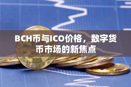 BCH币与ICO价格，数字货币市场的新焦点