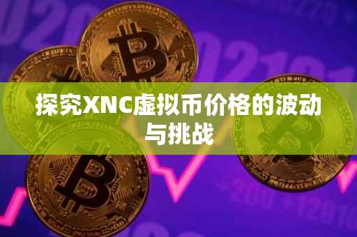 探究XNC虚拟币价格的波动与挑战