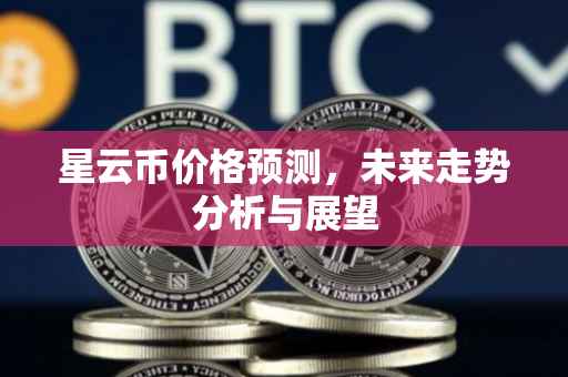 星云币价格预测，未来走势分析与展望