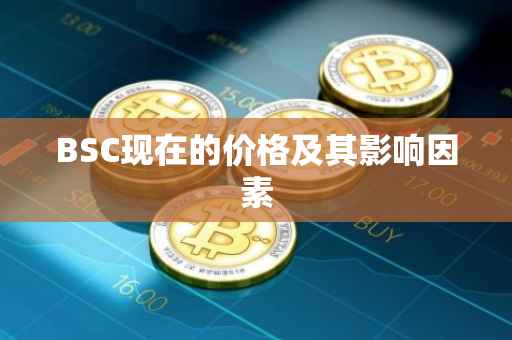BSC现在的价格及其影响因素