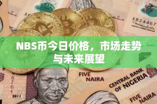NBS币今日价格，市场走势与未来展望