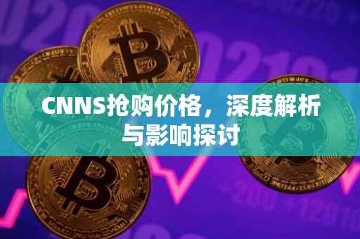 CNNS抢购价格，深度解析与影响探讨