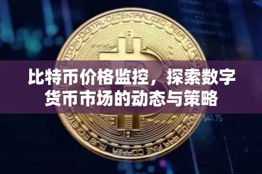 比特币价格监控，探索数字货币市场的动态与策略