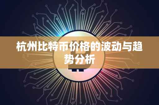杭州比特币价格的波动与趋势分析