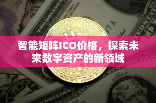 智能矩阵ICO价格，探索未来数字资产的新领域
