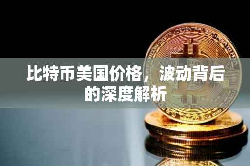 比特币美国价格，波动背后的深度解析