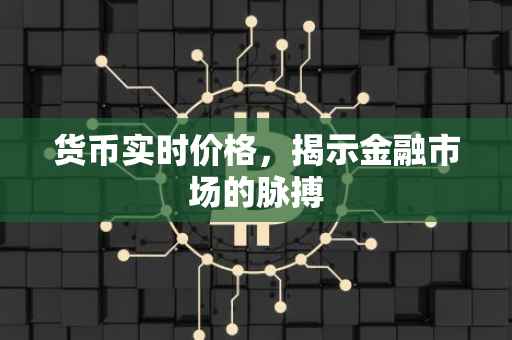 货币实时价格，揭示金融市场的脉搏