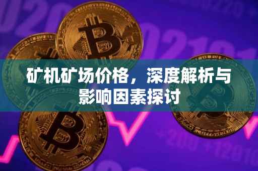 矿机矿场价格，深度解析与影响因素探讨