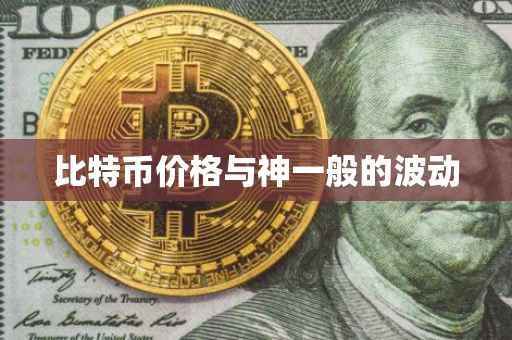 比特币价格与神一般的波动