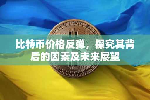 比特币价格反弹，探究其背后的因素及未来展望