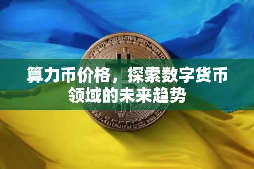 算力币价格，探索数字货币领域的未来趋势