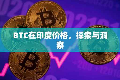 BTC在印度价格，探索与洞察