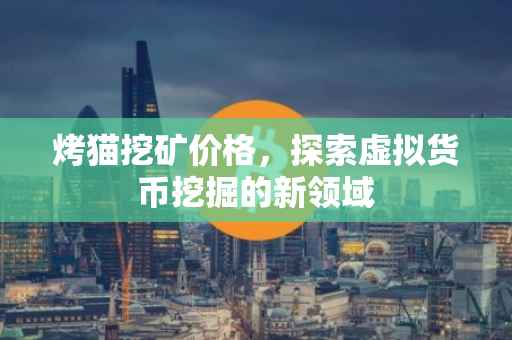 烤猫挖矿价格，探索虚拟货币挖掘的新领域