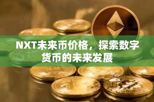 NXT未来币价格，探索数字货币的未来发展