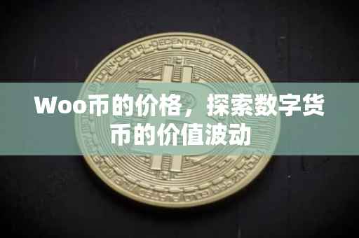 Woo币的价格，探索数字货币的价值波动