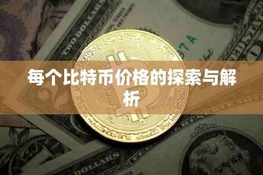 每个比特币价格的探索与解析