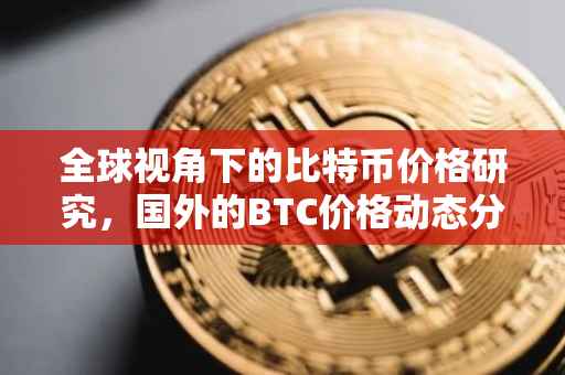 全球视角下的比特币价格研究，国外的BTC价格动态分析