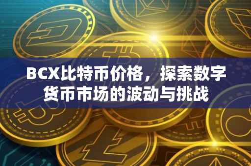 BCX比特币价格，探索数字货币市场的波动与挑战