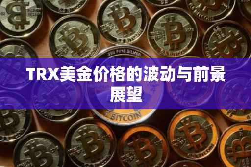 TRX美金价格的波动与前景展望