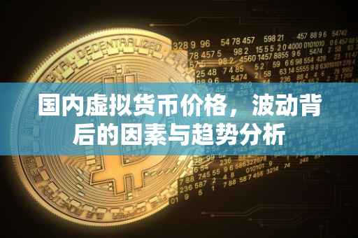 国内虚拟货币价格，波动背后的因素与趋势分析