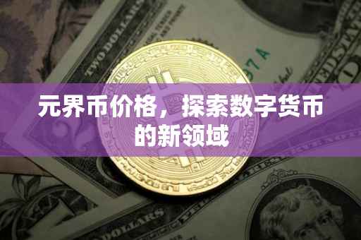 元界币价格，探索数字货币的新领域
